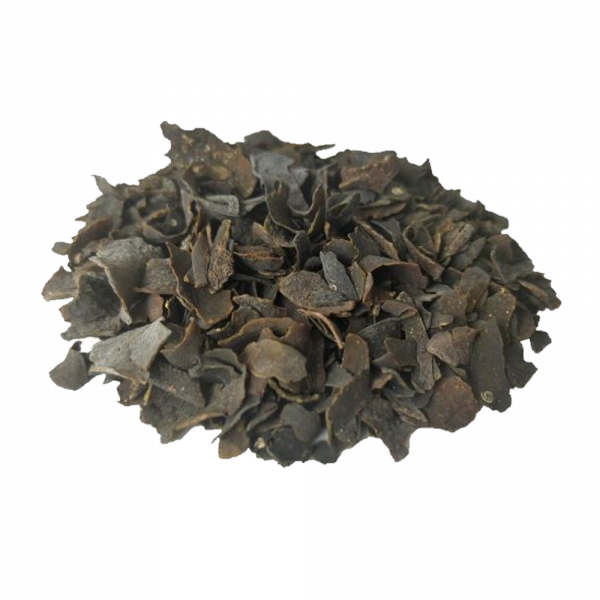 FUCUS VESICULOSOS