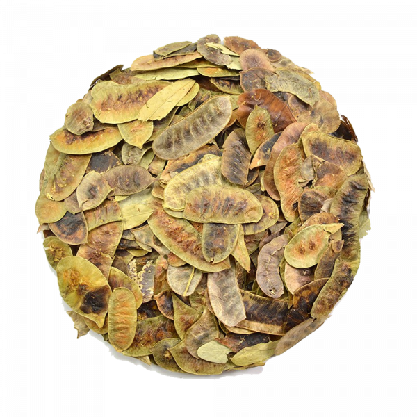 FOLÍCULOS DE SENE