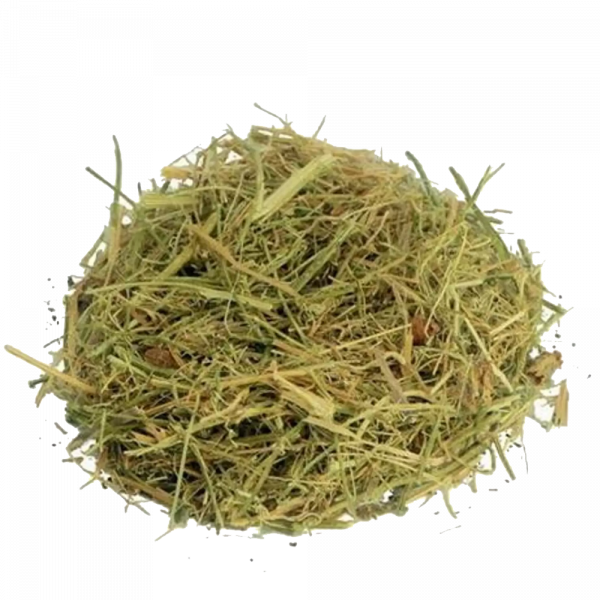 MELÃO SÃO CAETANO