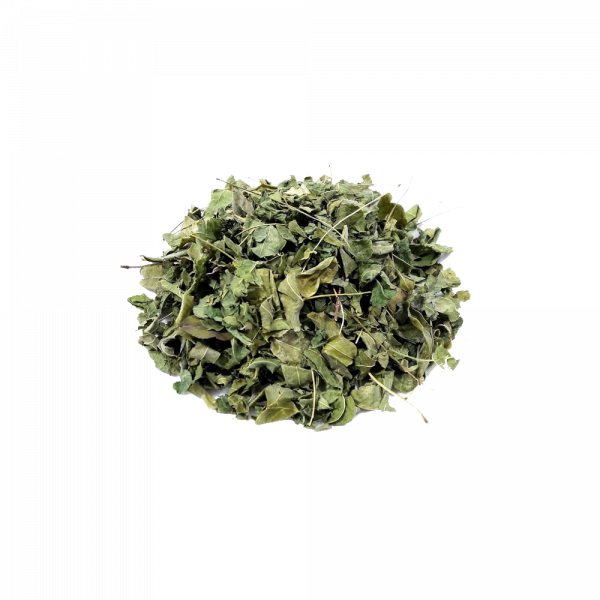 MORINGA OLEIFERA
