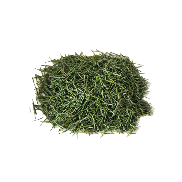 AGULHA DE PINHEIRO